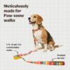 PetWale Dog Leash with Padded Handle | Suited for Walking, Running, Training & More | Colourful Stripes Print | Easy to Clean & Maintain | Durable & Sturdy | L: 5 feet, W: 1 inch