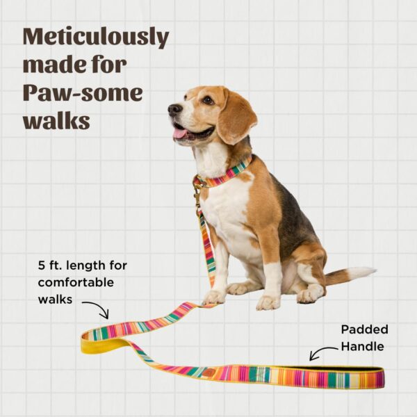 PetWale Dog Leash with Padded Handle | Suited for Walking, Running, Training & More | Colourful Stripes Print | Easy to Clean & Maintain | Durable & Sturdy | L: 5 feet, W: 1 inch
