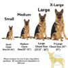 61CXPRAcPkL._SL1080_.jpg Hachiko Dog Harness with Rope | No Pull Dog Body Belt | Reflective Dog Vest Oxford Fabric | Soft Padded Easy Control Dog Chest Neck Belt | No More Pulling Or Choking (Small, Blue,Red)