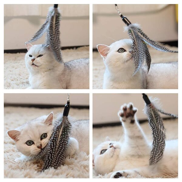 Sunkizzrs® Interactive Feather Toy Set - Activity Toys for Kittens - Wand to Exercise Cats - Stick Toy for Indoor Cats (Blue)