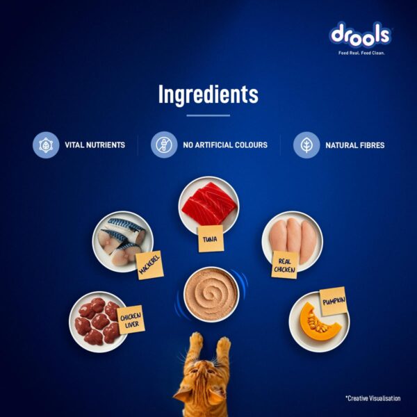 Drools Kitten Cat Wet Mousse 80gm | Ocean Fish | Rich in Protein, Promotes Hydration & Easy to Digest | Grain Free, No Artificial Flavours |Packed with Essential Vitamins & Antioxidants