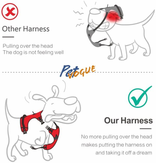 61CzC3I8kVL._SL1107_.jpg PetVogue Dog Harness With 3M Reflective|X Large Size No Pull Adjustable Dog Body Belt|Reflective Dog Vest Oxford Fabric|Soft Padded Easy Control Dog Chest Neck Belt|No More Pulling Or Choking|, Orange