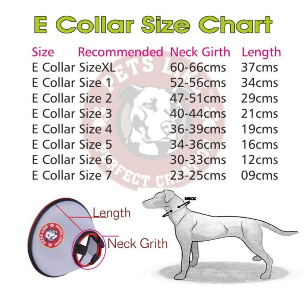 Petslike Elizabethan Collar (Size 7-For Cats and small Dogs), Off White (PL5195)