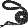 Tail 5 Feet Dog Leash with Comfortable Padded Handle and Highly Reflective Threads for Small Medium and Large Dogs (5FT-1/2'', Black)
