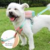 Qpets® Dog Harness Vest, Cute Puppy Pet Harness with Removable Zipper Pouch & Dogs Leash, 4-Way Adjustable Dog Vest Harness Quick Release for Small Dog Cat Harness (S, Neck 32-40cm, Bust 43-51cm)