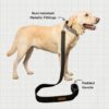 PetWale Dog Leash with Padded Handle | Suited for Walking, Running, Training & More | Black Denim Fabric | Easy to Clean & Maintain | Durable & Sturdy | L: 5 feet, W: 1 inch
