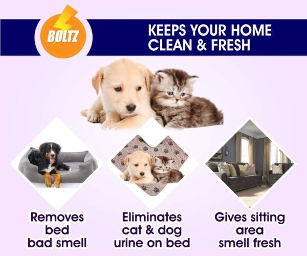61DJVI4bML._SL1200_.jpg Boltz Odour and Urine Smell Remover Pet Area Freshener for Dog and Cat with Lavender Fragrance (200 ml), 1 Piece