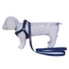 Pets Like Polyester V Harness with Leash Set Navy Blue (Large),Dog