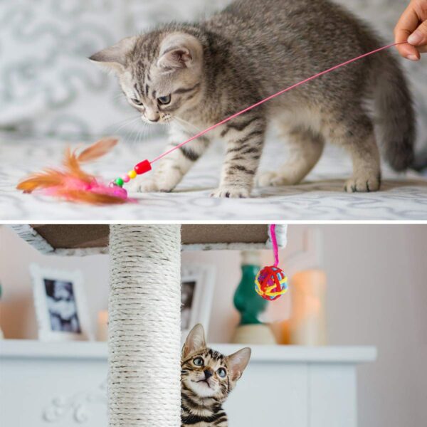 61DWb66wYHL._SL1200_.jpg Pack of 13 Cat Toys, Plush Spring Mouse Colored Ball Toys for Kittens (Random Color)