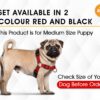 61DmirTUA5L._SL1200_.jpg Boltz Premium Reflective Dog Vest Harness, Comfortable Vest with Quick-Release Buckles for Small, Medium & Large Dogs, No-Pull Dog Harness – Black, Adjustable & Reflective - Black