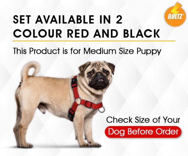 61DmirTUA5L._SL1200_.jpg Boltz Premium Reflective Dog Vest Harness, Comfortable Vest with Quick-Release Buckles for Small, Medium & Large Dogs, No-Pull Dog Harness – Black, Adjustable & Reflective - Black