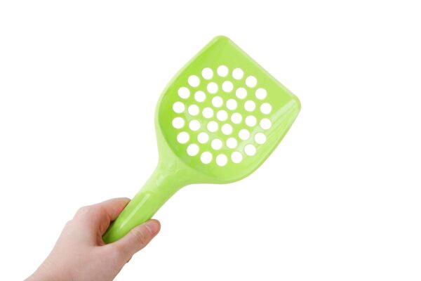 Micro Cat 2 in 1 Set Green (Big Hole & Small Hole) For Children