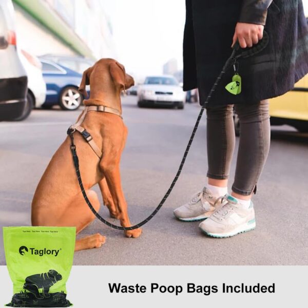 Taglory Rope Dog Leash 4 FT with Comfortable Padded Handle, Highly Reflective Threads Dog Leash for Medium Dogs, 3/8 inch, Black