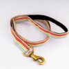 FurBuddies - Satrangi Soft Padded Leash for Dogs - (Multicolor, Standard Size)