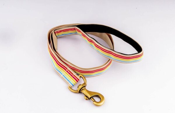 FurBuddies - Satrangi Soft Padded Leash for Dogs - (Multicolor, Standard Size)
