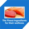 61EPJkwsmeL._SL1200_.jpg Drools Cat Adult Dry Cat Food Mackerel 1kg with Free Cat Creamy Treat 75g