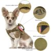 61EPl3mfZsL._SL1080_.jpg Tactical Cat Small Dog Harness with Escape Proof Adjustable Pet Vest Harness, Soft Mesh with Control Handle, Gift with Patch Military Style Harness (Large,Khaki)