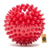 Pets Co. Rubber Dog Chew Toy Combo (6" Bone + 3" Spike Ball + 4.5" Ring + 7" Plastic Bone) | Teething Toys for Puppies & Small Dogs