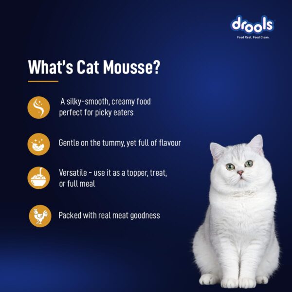 Drools Adult Cat Wet Mousse 80gm | Chicken | Rich in Protein, Promotes Hydration & Easy to Digest | Grain Free, No Artificial Flavours | Packed with Essential Vitamins & Antioxidants