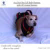 A+a Pets'Dog Lift Full Body Support Harness (XL-2XL)
