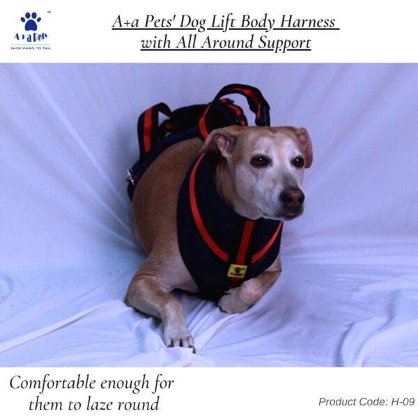 A+a Pets'Dog Lift Full Body Support Harness (XL-2XL)