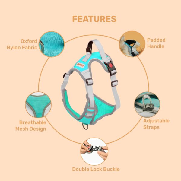 61Fjk3ttecL._SL1080_.jpg Premium Reflective Vest Dog Harness | Soft Breathable Mesh and Oxford Nylon Fabric | Padded Control Handle with No Pull Front & Back Clip | Adjustable Strap & Dual Lock Buckle (Small, Sea Green)