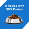 Drools Kitten(1-12 Months) Dry Cat Food, Ocean Fish, 1.2kg with Free Container