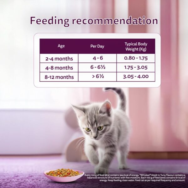 61GK2mc4lUL._SL1100_.jpg Whiskas Tasty Mix Kitten (2-12 Months) Wet Cat Food, Seafood Cocktail Carrot Flavour in Gravy, 70 g x 14, 100% Complete & Balanced Nutrition for Kittens