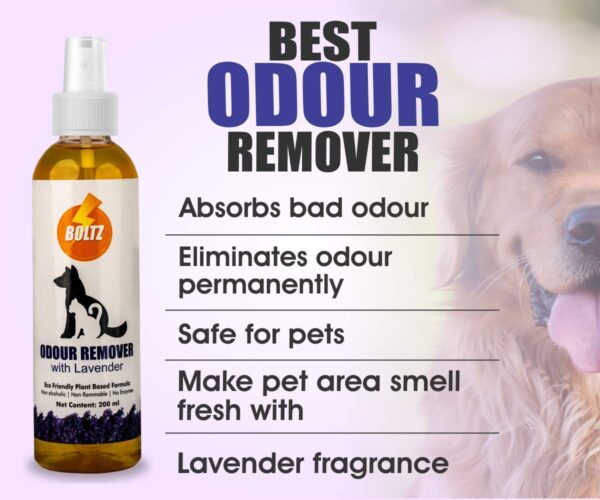 61GON-chUJL._SL1200_.jpg Boltz Odour and Urine Smell Remover Pet Area Freshener for Dog and Cat with Lavender Fragrance (200 ml), 1 Piece