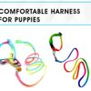 Sage Square No Pull Dog Harness and Leash Set, No Chock Puppy Step in Vest Harness Nylon Lightweight Neck&Chest Adjustable for Dogs Girls and Boy, Pet Harness for Small Medium Dogs (Rainbow Coloured)