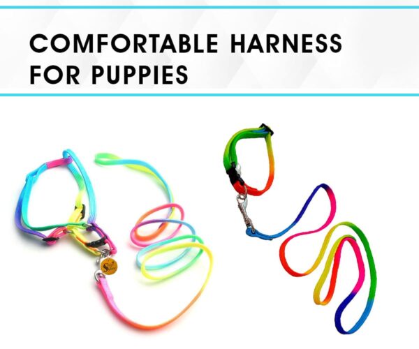 Sage Square No Pull Dog Harness and Leash Set, No Chock Puppy Step in Vest Harness Nylon Lightweight Neck&Chest Adjustable for Dogs Girls and Boy, Pet Harness for Small Medium Dogs (Rainbow Coloured)