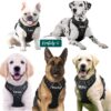 Dog Harness with Name id Customized for Dogs Large Medium Small Puppy All Breeds No Pull Harness Reflective Vest Harness Belt Adjustable with Personalized Dog Name (Black) (Large Dogs)