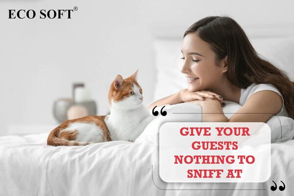 EcoSoft Cat Litter Deodorizer - Strawberry and Lavender fragrance 1500 gm, Odour Control,|Pet Urine Smell Remover| 100% Effective, Fresh Scent