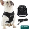 Dog Harness with Name id Customized for Small Dogs Puppy Harness Reflective Vest Harness Adjustable with Personalized Dog Name (Black)