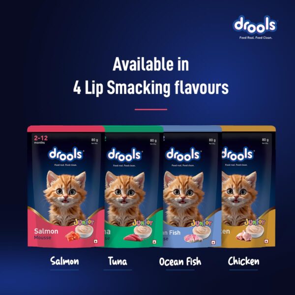 Drools Kitten Cat Wet Mousse 80gm | Salmon | Rich in Protein, Promotes Hydration & Easy to Digest | Grain Free, No Artificial Flavours | Packed with Essential Vitamins & Antioxidants