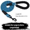 61H5nYRVjHL._SL1080_.jpg 4 Ft Heavy‑Duty Reflective Dog Leash – Soft Padded Handle + 360° Swivel Clip – Strong Nylon Rope, Tangle‑Free, Safe Night Walks – Ideal for, Medium & Large Dogs (Aqua Woof, 4 Feet)