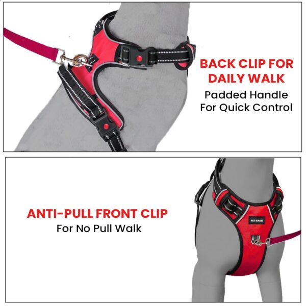 No Pull Dog Chest Belt Harness, Comfortable & Adjustable Size for 24-35 Kg Pet (Red, Large)