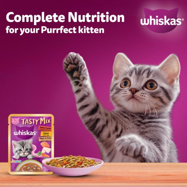 61HI9jSVCL._SL1100_.jpg Whiskas Tasty Mix Kitten (2-12 Months) Wet Cat Food, Seafood Cocktail Carrot Flavour in Gravy, 70 g x 14, 100% Complete & Balanced Nutrition for Kittens