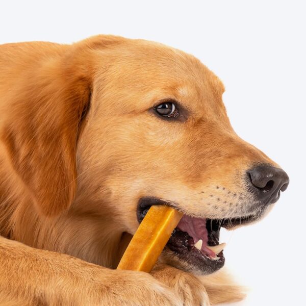 Heads Up For Tails Huft Yakies Organic Dog Chew Bone For All Life Stages (Large 3 Pcs)