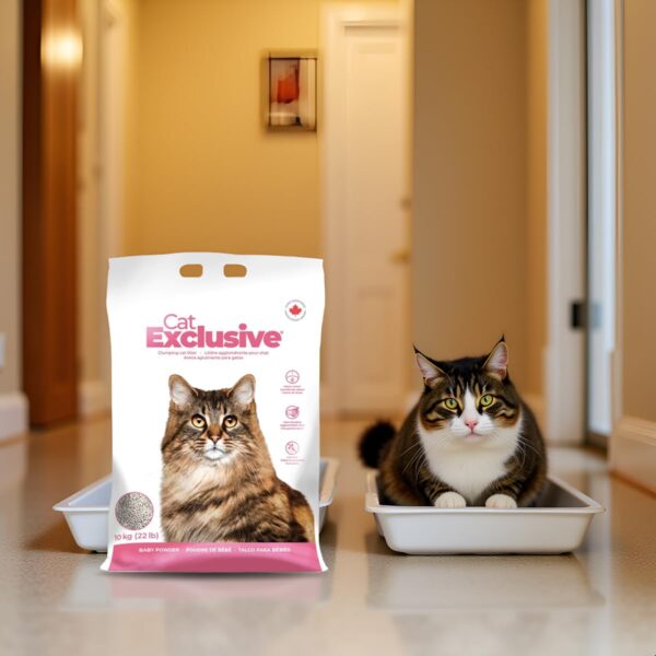 Clumping Cat Litter – Baby Powder Scent, Scoopable, Low Dust, Hard Clumps – All Breed Cats, Long-Lasting Odor Control, Easy to Clean (10 kg, Pack)