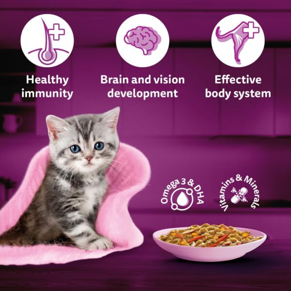 61IH0aMc5L._SL1100_.jpg Whiskas Tasty Mix Kitten (2-12 Months) Wet Cat Food, Seafood Cocktail Carrot Flavour in Gravy, 70 g x 14, 100% Complete & Balanced Nutrition for Kittens