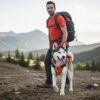 HANK Dog Harness | 3M Reflective | Strong Metal Hook | Dog Chest Belt for Large Dogs | No Pull Harness for Walking, Training (Neon Orange - L (23-35Kg)