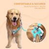 61IULjVCE7L._SL1080_.jpg Premium Reflective Vest Dog Harness | Soft Breathable Mesh and Oxford Nylon Fabric | Padded Control Handle with No Pull Front & Back Clip | Adjustable Strap & Dual Lock Buckle (Small, Sea Green)