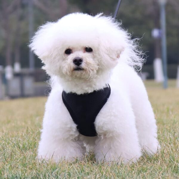Heart Home Reflective Dog Harness With Adjustable Leash|Breathable Polyester Mesh Fabric With Top carry Handle|Medium Size|HAT-818|Comfortable No-Pull Grip|Quick Release Buckles|Black