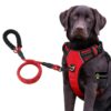 61Ic6TksP0L._SL1080_.jpg Premium Reflective NoβPull Dog Harness with Rope Leash β Adjustable Vest with Handle & Front/Back Leash Clips | Heavy-Duty, Comfortable Belt for Training, Walking, Hiking (Red, Large)