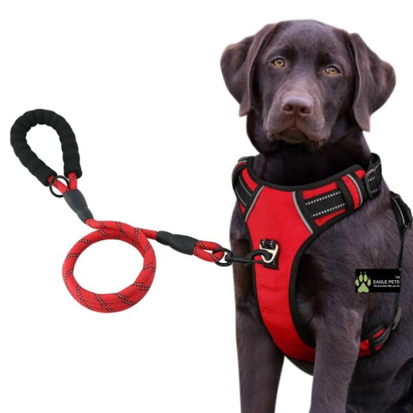 61Ic6TksP0L._SL1080_.jpg Premium Reflective NoβPull Dog Harness with Rope Leash β Adjustable Vest with Handle & Front/Back Leash Clips | Heavy-Duty, Comfortable Belt for Training, Walking, Hiking (Red, Large)