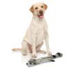 BarkButler x Fofos Skinneez Stuffing Free Raccoon - Soft & Squeaky Toys for Dogs, Dog Toys for Large Dogs (5-30kgs) - Grey