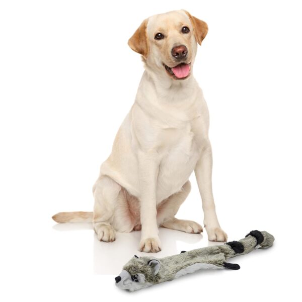 BarkButler x Fofos Skinneez Stuffing Free Raccoon - Soft & Squeaky Toys for Dogs, Dog Toys for Large Dogs (5-30kgs) - Grey