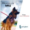61JDgNMbLnL._SL1080_.jpg Dog Leash for Large Dogs-Loki-for Big Dogs-with Padded Handle-5 Ft Long 1 inch Wide