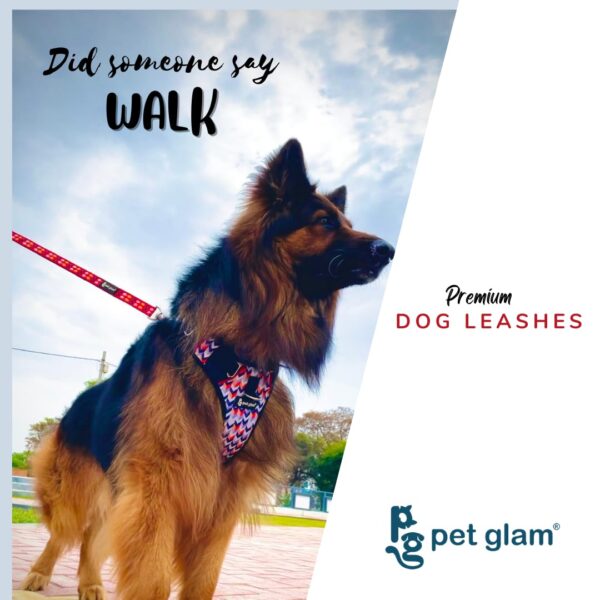 61JDgNMbLnL._SL1080_.jpg Dog Leash for Large Dogs-Loki-for Big Dogs-with Padded Handle-5 Ft Long 1 inch Wide